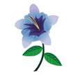 blue flower