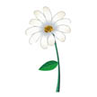 white flower
