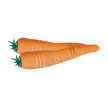 carrots