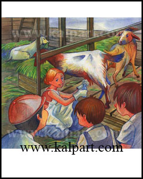 storybook kids illustraitons1