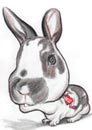 Pet Caricature Rabbit www.kalpart.com